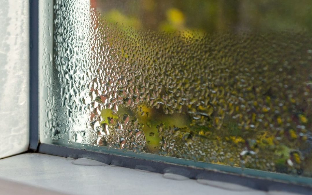 Know Your Home's Humidity Levels? Why It Matters for your Health